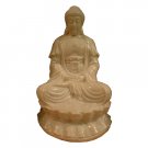 Seated Buddha 4972