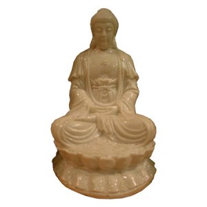 Seated Buddha 4972