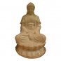 Seated Buddha 4972