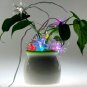 Crystal Sparkling Stars - Holiday Color Lights x3 New
