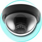 Wired Color SHARP CCD Dome Camera -PAL New