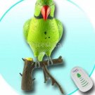 Recordable Parrot Wireless Doorbell New