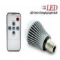 LED Color Changing Light Bulb with Remote (5W)