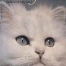 The Love of Cats