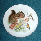 Squirrel & Birds Plate Wall Hanging Plaque Squirrel & Birds Plate Wall Hanging Plaque