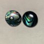 Blue Abalone Button Post Earrings