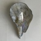 Vintage Pin Shell Clear Crystal Quartz Stone, Reiki, Healing