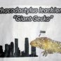 Giant Gecko Kid's Shirt