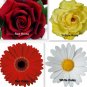 Personalize No Slip Clip Set Hair Accessory Barrette  OOAK