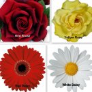 Personalize No Slip Clip Hair Accessory Barrette  OOAK