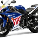 2010 Yamaha YZF-R1 LE