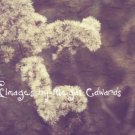 Textured Branches