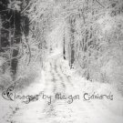 A road less traveled