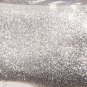 PA Nail Polish - Silver Glitter - NEW