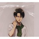 Attack on Titan Levi Ackerman Pop Up Shop in Marui Acrylic Stand NEW 