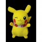 Pokemon Pikachu Tropical Plush 