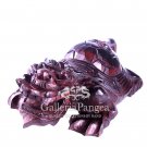 Wood Sculpture, 'Dragon Turtle'