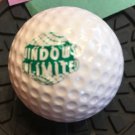 Windows Unlimited Vintage Corporate Logo Golf Ball Signature #4 Ball