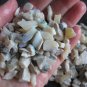 Adamooka Opal Rough