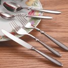 20pc Stainless Steel Flatware Set [FW20]