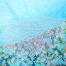 The Red Sea Fan
