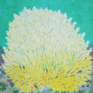 Gorgeous Yellow Fan