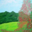 Texas Yaupon Holly in the Fall and Winter
