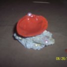 seashell ring dish