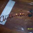 Autumn scrapbook embellishment