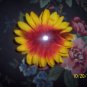 floral hair accessory