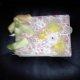 scrapbook Mini Albums 6x8