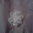 white floral hair clip