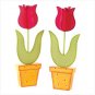 Tulip set