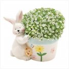 Bunny hug Planter