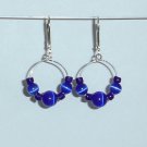 Blue Cats Eye Earrings