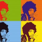 8x10 Jimi Hendricks Popart Print Celebrity Pop Art Picture Limited Edition