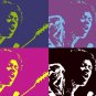 8x10 Jimi Hendricks Popart Print Celebrity Pop Art Picture Limited Edition