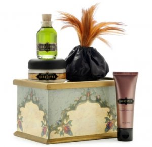 Kama Sutra Bedside Lovers Tool Kit