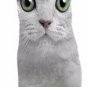 CAT KITTEN HALLOWEEN COSTUME T-SHIRT DRESS GREEN EYES S, M, L PHOTO REAL NEW