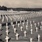 RPPC ~ GRAVES AREA, American Cemetery & Memorial, Cambridge ~ VINTAGE ~ Unused [322]