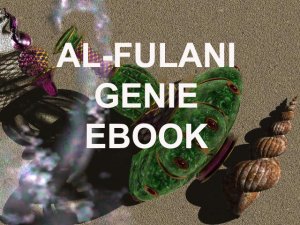 Al-Fulani Genie Ebook on Compact Disc
