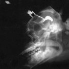 Haunted Curse May Lurk In Your DNA