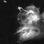 Haunted Curse May Lurk In Your DNA
