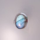 Stunning Male Baby Dragon Faery Ring sz 9 Haunted Item