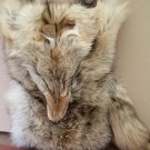coyote fur hunting bag