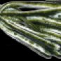 4" Extreme Stix  Melon Sickle