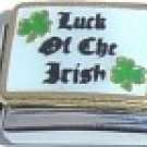 LUCK OF THE IRISH ITALIAN CHARM ST PATRICK'S DAY