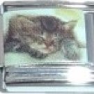 SLEEPY KITTY 9MM ITALIAN CHARM