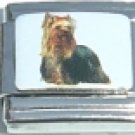YORKIE DOG PHOTO 9MM ITALIAN CHARM