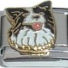 BORDER COLLIE DOG 9MM ITALIAN CHARM